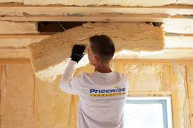 Eco-Friendly or Green Insulation Solutions in Princeville, HI